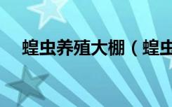 蝗虫养殖大棚（蝗虫和蚂蚱的区别图片）