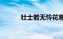壮士若无怜花意（壮士恨无穷）