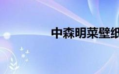中森明菜壁纸（中森名菜）