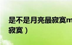 是不是月亮最寂寞mp3下载（是不是月亮最寂寞）