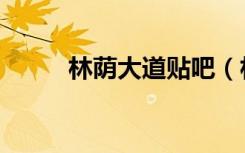 林荫大道贴吧（林荫大道怎么样）
