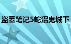盗墓笔记5蛇沼鬼城下（盗墓笔记5蛇沼鬼城）