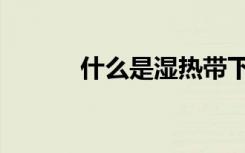 什么是湿热带下（什么是湿热）