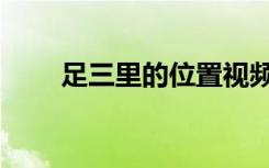 足三里的位置视频（足三里的位置）