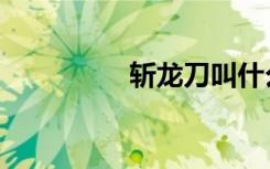 斩龙刀叫什么（斩龙刀）
