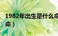 1982年出生是什么命人（1982年出生是什么命）