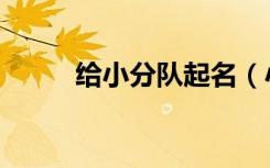给小分队起名（小分队名字大全）