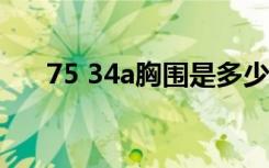 75 34a胸围是多少（34a胸围是多少）