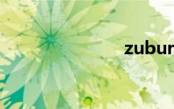 zubureader