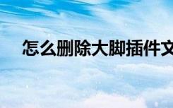 怎么删除大脚插件文件（怎么删除大脚）