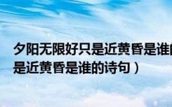 夕阳无限好只是近黄昏是谁的诗句登乐游原（夕阳无限好只是近黄昏是谁的诗句）