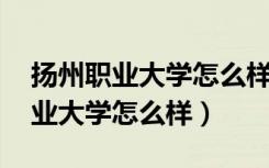 扬州职业大学怎么样 就业前景排名（扬州职业大学怎么样）