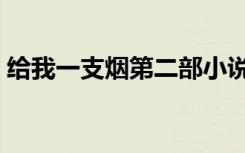 给我一支烟第二部小说（给我一支烟第二部）