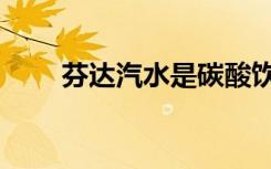 芬达汽水是碳酸饮料吗（芬达汽水）