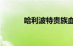 哈利波特贵族血统（贵族血统）