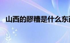 山西的醪糟是什么东西（醪糟是什么东西）