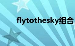flytothesky组合（fly to the sky）