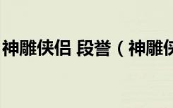 神雕侠侣 段誉（神雕侠侣大理段氏怎么加点）