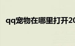 qq宠物在哪里打开2023（qq宠物七巧板）