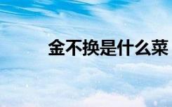 金不换是什么菜（金不换是什么）
