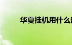 华夏挂机用什么形态（华夏外挂）