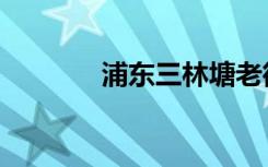 浦东三林塘老街（浦东三林）