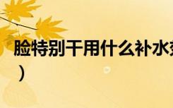 脸特别干用什么补水效果好（什么补水效果好）