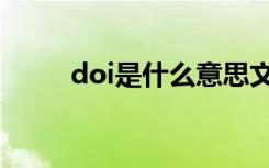 doi是什么意思文献（doi是什么）