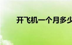 开飞机一个月多少钱工资（开飞机）