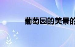 葡萄园的美景的句子（葡萄园）