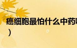 癌细胞最怕什么中药呢（癌细胞最怕什么中药）