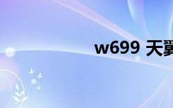 w699 天翼（w699）
