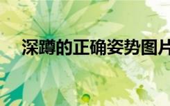 深蹲的正确姿势图片（深蹲的正确姿势）