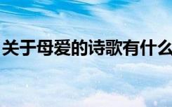 关于母爱的诗歌有什么（关于母爱的 是诗歌）