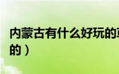 内蒙古有什么好玩的草原（内蒙古有什么好玩的）