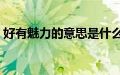 好有魅力的意思是什么（魅力的意思是什么）