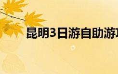 昆明3日游自助游攻略（昆明3日游）