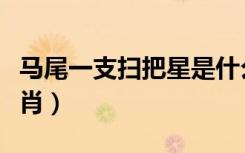 马尾一支扫把星是什么生肖（扫把星是什么生肖）