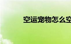 空运宠物怎么空运（空运宠物）