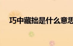 巧中藏拙是什么意思（藏拙是什么意思）