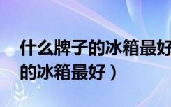 什么牌子的冰箱最好排名 前十名（什么牌子的冰箱最好）