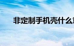 非定制手机壳什么意思（非定制手机）