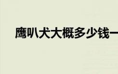 鹰叭犬大概多少钱一只（鹰叭犬王大帝）