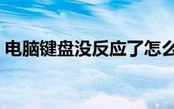 电脑键盘没反应了怎么办（电脑键盘没反应）