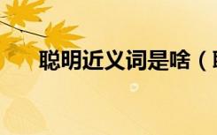 聪明近义词是啥（聪明近义词是什么）