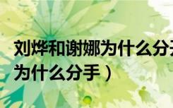 刘烨和谢娜为什么分开分手原因（刘烨和谢娜为什么分手）