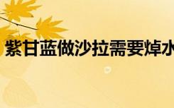 紫甘蓝做沙拉需要焯水吗（紫甘蓝能生吃吗）