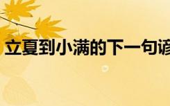 立夏到小满的下一句谚语（立夏有什么讲究）