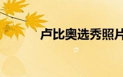 卢比奥选秀照片（卢比奥选秀）
