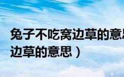 兔子不吃窝边草的意思是什么呀（兔子不吃窝边草的意思）